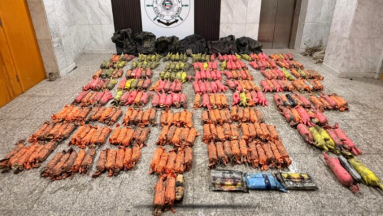 'الداخلية':-ضبط-كمية-كبيرة-من-المخدرات-في-قاع-البحر