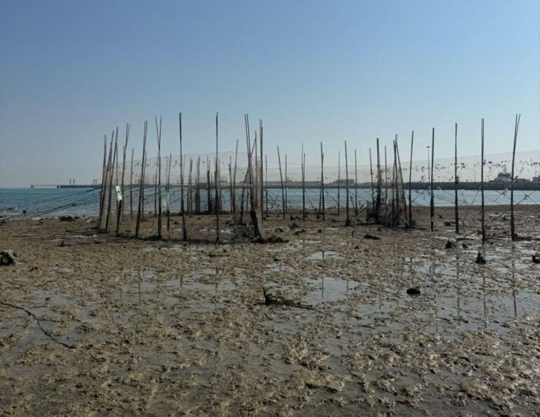 'البيئة':-تحرير-مخالفة-لصاحب-'حظرة'-مرخصة-في-شاطئ-المنقف