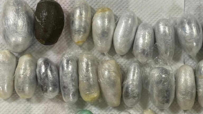 'الجمارك'-تُحبط-تهريب-حشيش-داخل-أحشاء-مسافر-أوروبي