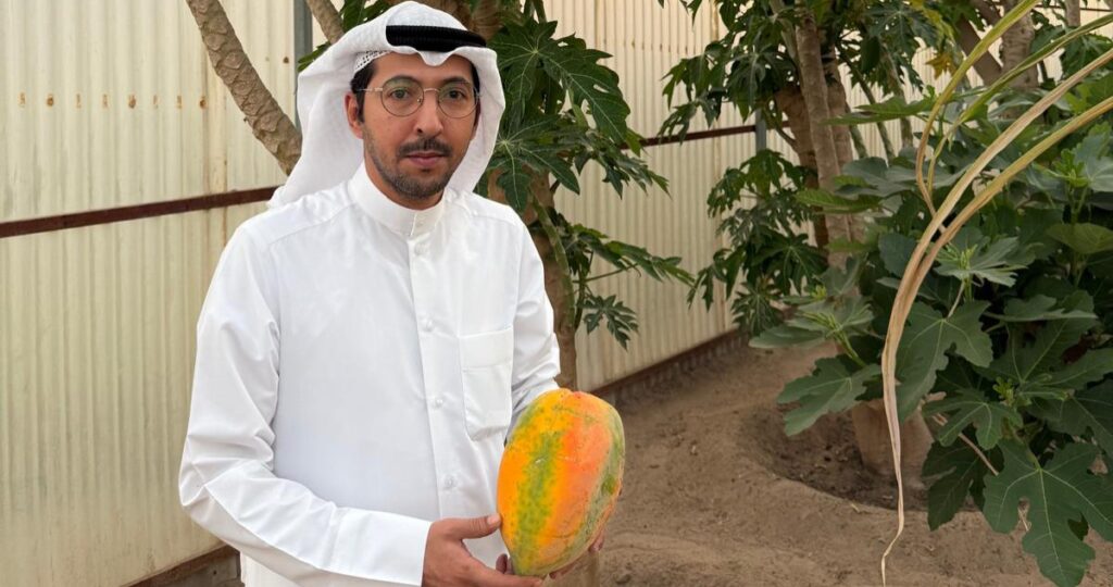 فواكه-الكويت-في-الأسواق