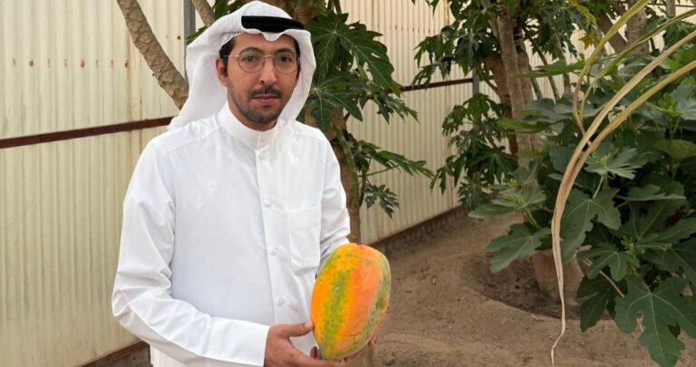 فواكه-الكويت-في-الأسواق