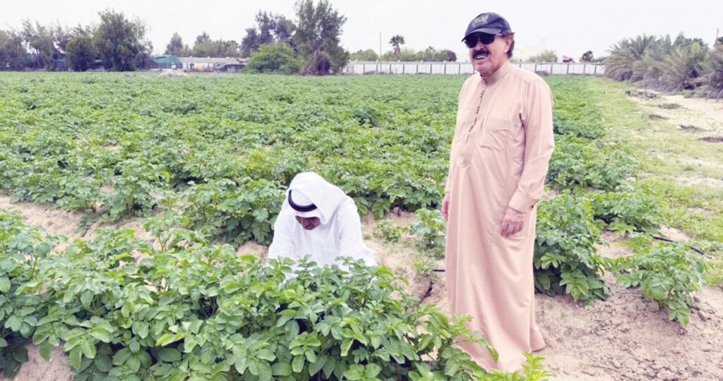 العميد-الجارالله:-مطلوب-مخازن-مبرّدة-لخزن-الفائض-من-المحاصيل-الستراتيجية