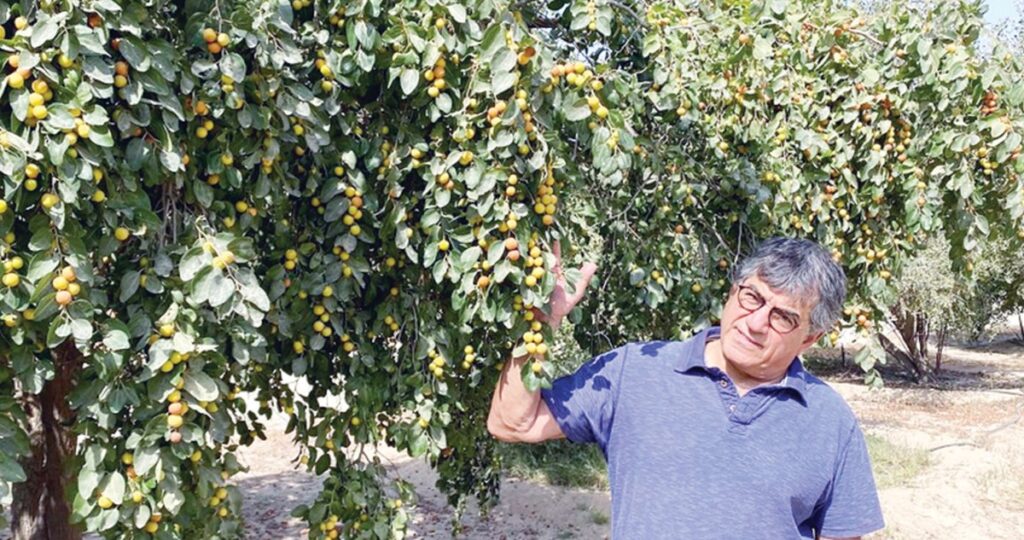 قبازرد:-حبّنا-للكويت-يقتضي-الإنتاج-في-المناطق-الزراعية-الحدودية