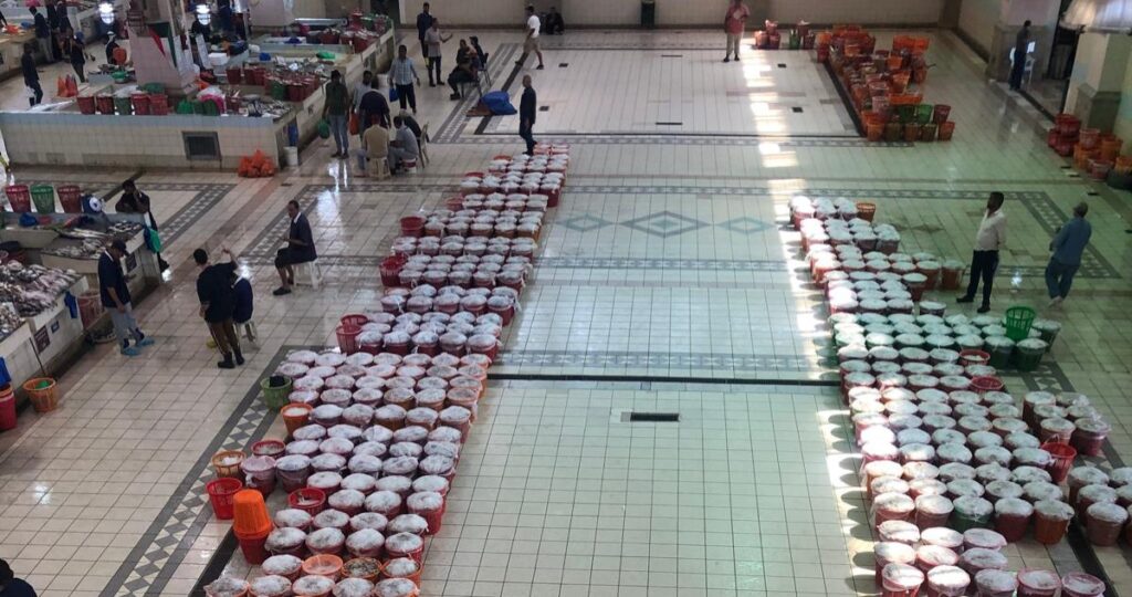 السرهيد-لـ'السياسة':-استيراد-الأسماك-من-الهند-وبنغلاديش-وسريلانكا