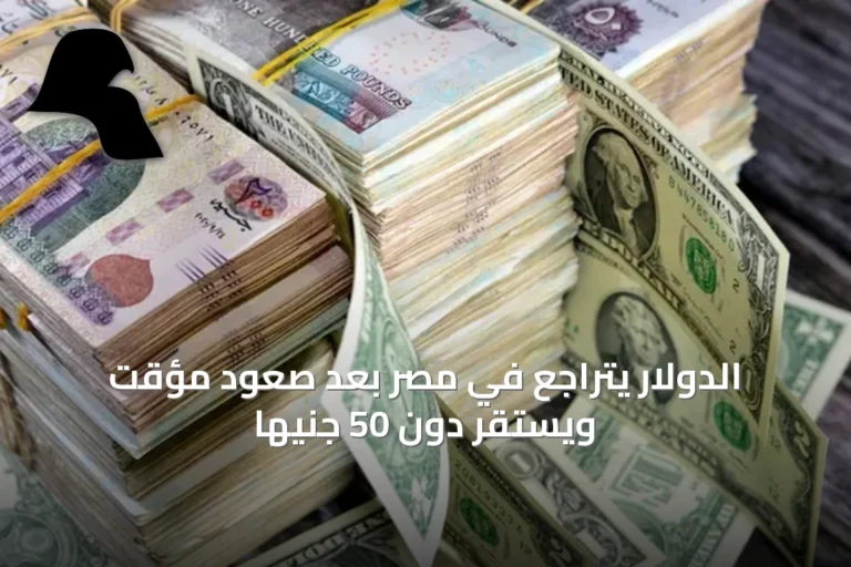 الدولار يتراجع في مصر بعد صعود مؤقت ويستقر دون 50 جنيهاً