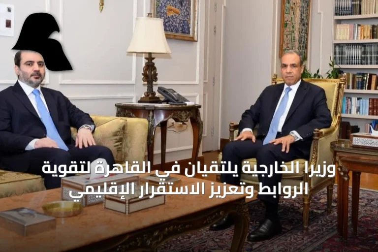 وزيرا الخارجية يلتقيان في القاهرة لتقوية الروابط وتعزيز الاستقرار الإقليمي
