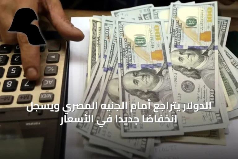 الدولار يتراجع أمام الجنيه المصري ويسجل انخفاضاً جديداً في الأسعار