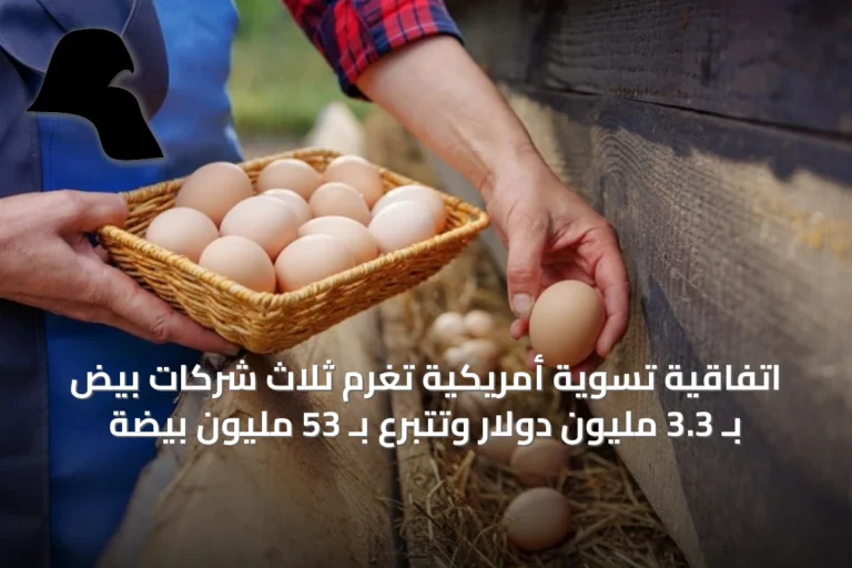 اتفاقية تسوية أمريكية تغرم ثلاث شركات بيض بـ 3.3 مليون دولار وتتبرع بـ 53 مليون بيضة