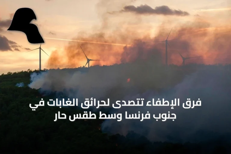 فرق الإطفاء تتصدى لحرائق الغابات في جنوب فرنسا وسط طقس حار
