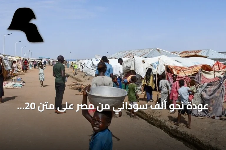 عودة نحو ألف سوداني من مصر على متن 20 حافلة ضمن البرنامج الطوعي