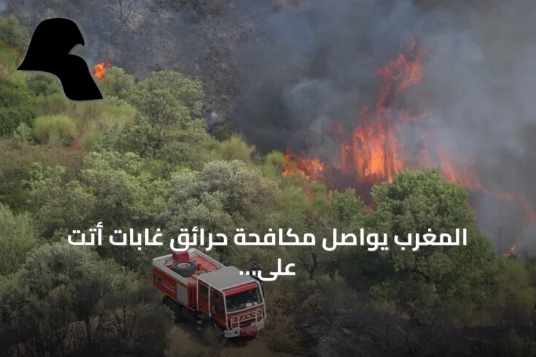 المغرب يواصل مكافحة حرائق غابات أتت على 14 هكتاراً بإقليمي تارودانت والحوز