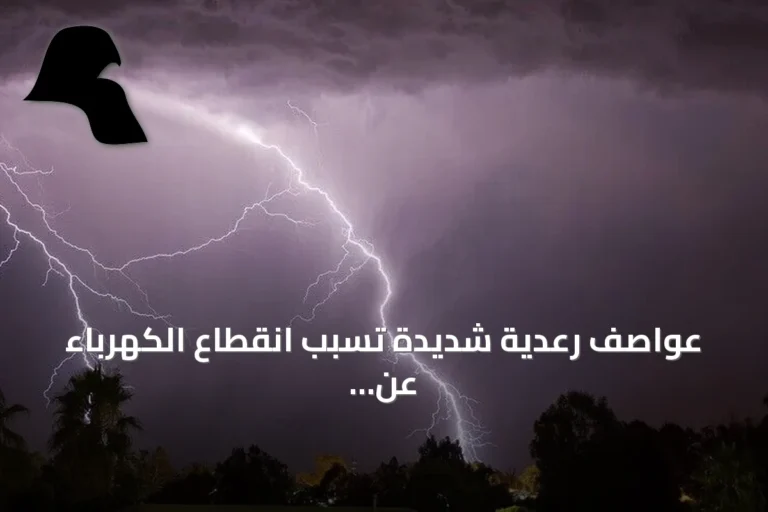 عواصف رعدية شديدة تسبب انقطاع الكهرباء عن 53 ألف منزل في فرنسا