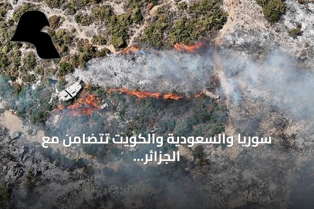 سوريا والسعودية والكويت تتضامن مع الجزائر بعد حرائق الغابات الشرقية