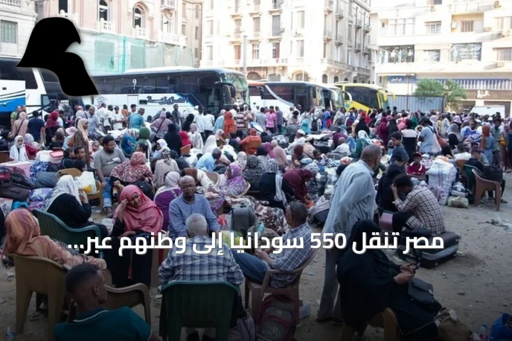 مصر تنقل 550 سودانياً إلى وطنهم عبر حافلات العودة الطوعية