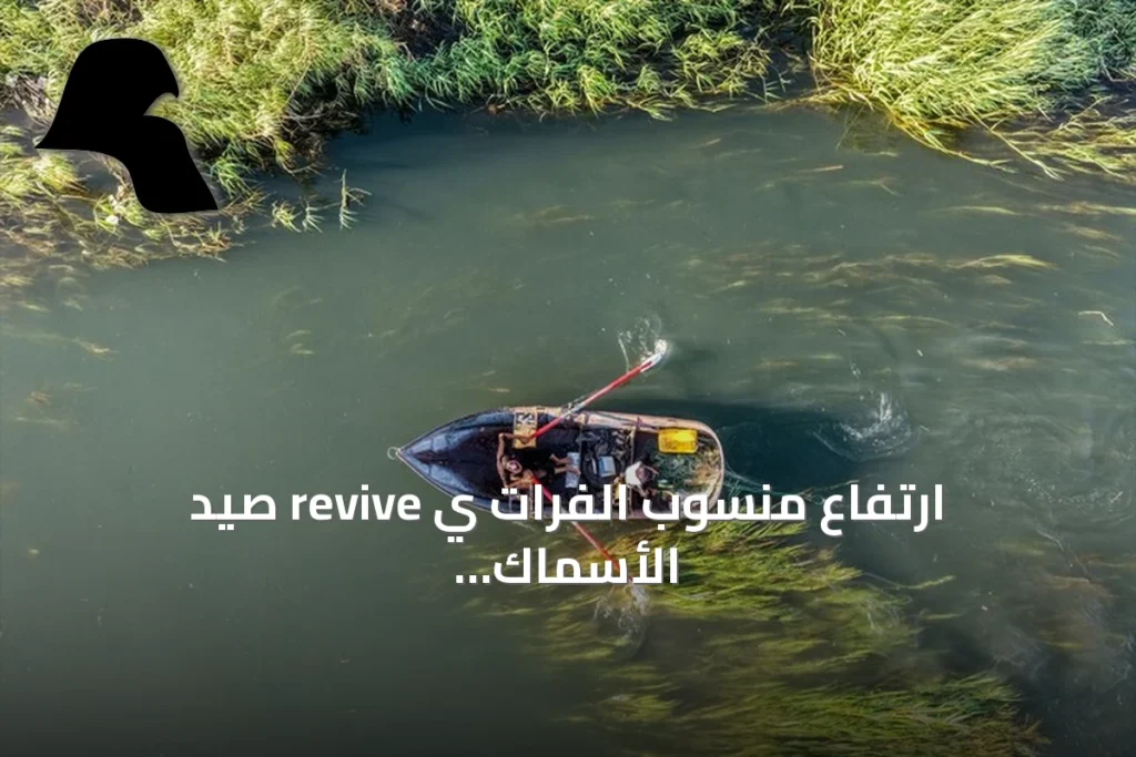 ارتفاع منسوب الفرات ي revive صيد الأسماك وسوقها في الرقة