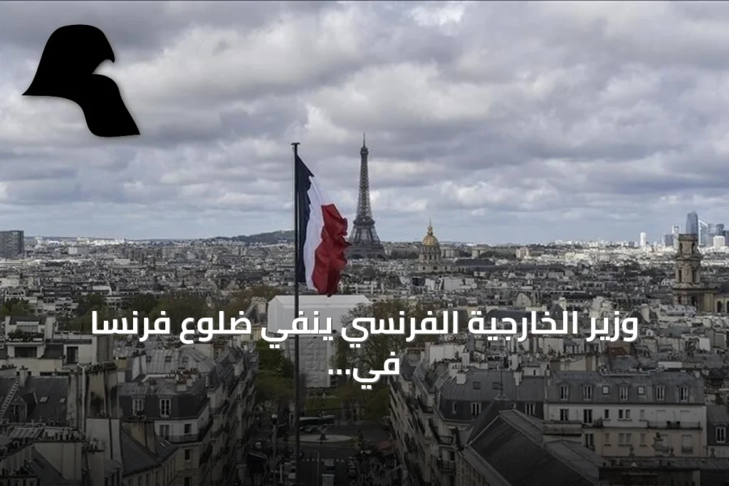 وزير الخارجية الفرنسي ينفي ضلوع فرنسا في التحرك العسكري بالنيجر