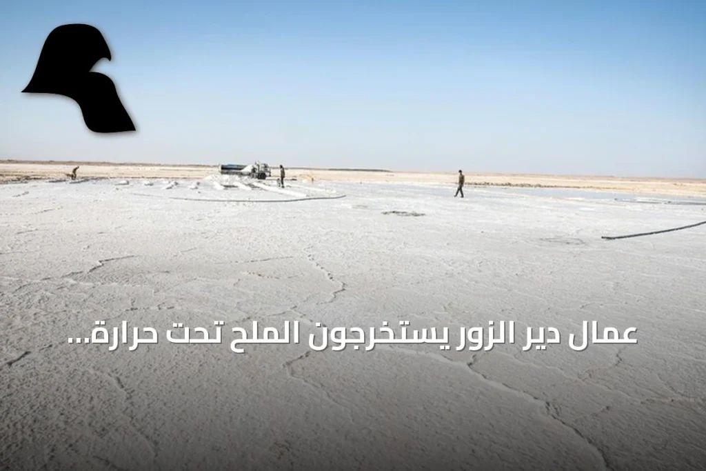 عمال دير الزور يستخرجون الملح تحت حرارة الشمس الشديدة