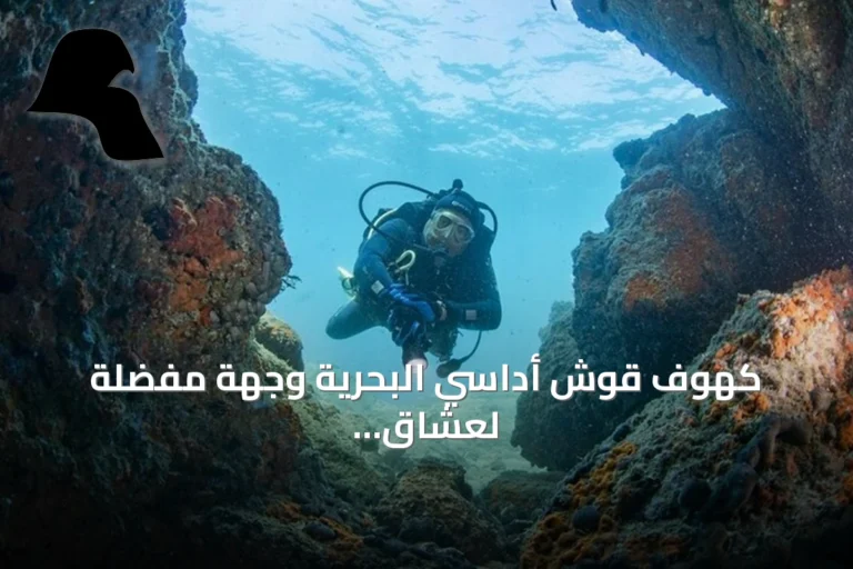 كهوف قوش أداسي البحرية وجهة مفضلة لعشاق الغوص في تركيا