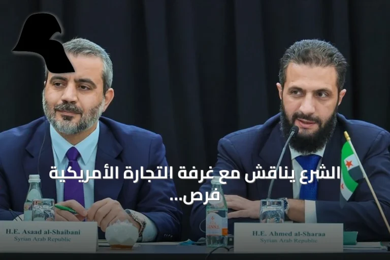 الشرع يناقش مع غرفة التجارة الأمريكية فرص الاستثمار بسوريا على هامش الأمم المتحدة