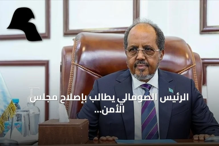الرئيس الصومالي يطالب بإصلاح مجلس الأمن ويعتبر ضعفه ظلماً تاريخياً بحق 54 دولة