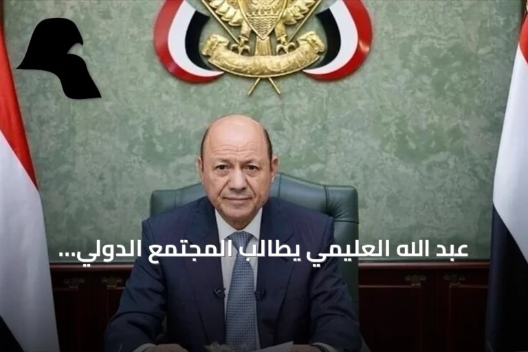 عبد الله العليمي يطالب المجتمع الدولي بحماية باب المندب وتعزيز قدرات الحكومة اليمنية