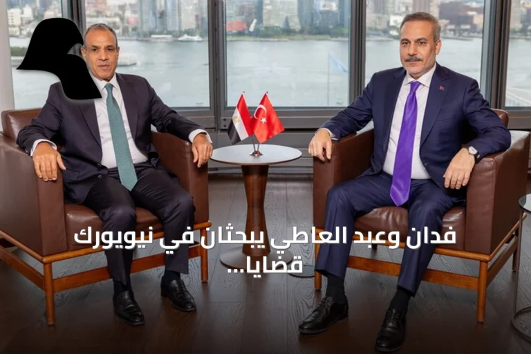 فدان وعبد العاطي يبحثان في نيويورك قضايا غزة والسودان وليبيا وإيران