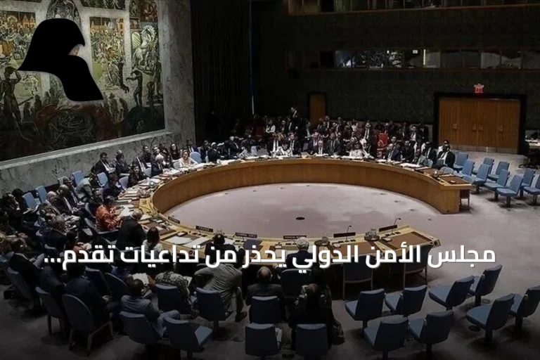 مجلس الأمن الدولي يحذر من تداعيات تقدم الحوثيين في باب المندب على الملاحة والتجارة والسلام