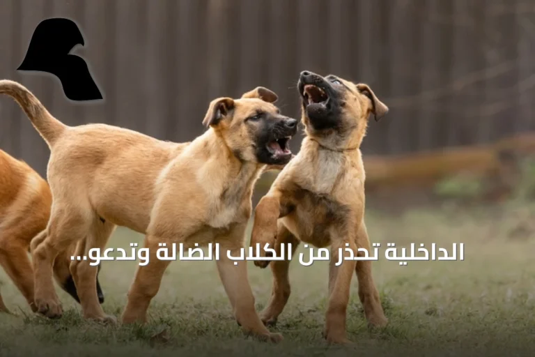 الداخلية تحذر من الكلاب الضالة وتدعو للإبلاغ عن تجمعاتها
