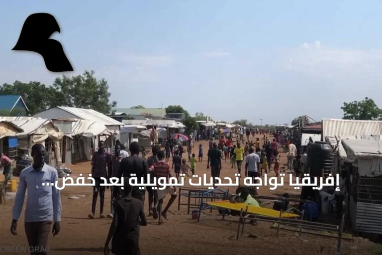 إفريقيا تواجه تحديات تمويلية بعد خفض المساعدات الأميركية
