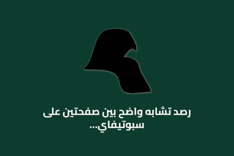 رصد تشابه واضح بين صفحتين على سبوتيفاي يوضح إمكانية تعديل لغة الواجهة