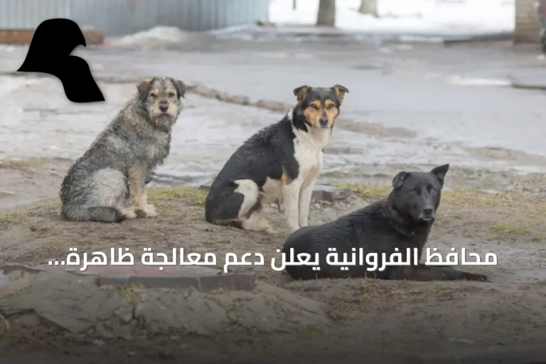 محافظ الفروانية يعلن دعم معالجة ظاهرة الكلاب الضالة ويستقبل السفير الكوري