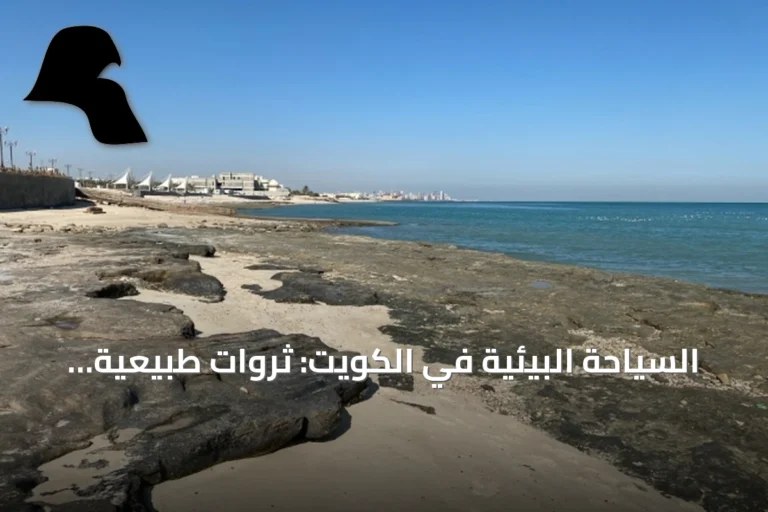 السياحة البيئية في الكويت: ثروات طبيعية تدفع نحو التنمية المستدامة