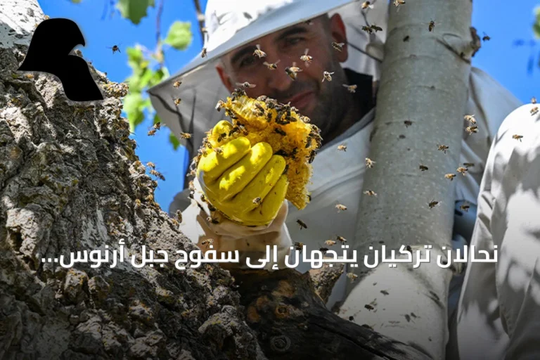 نحّالان تركيان يتجهان إلى سفوح جبل أرنوس لاستخراج عسل بري من تجاويف الأشجار