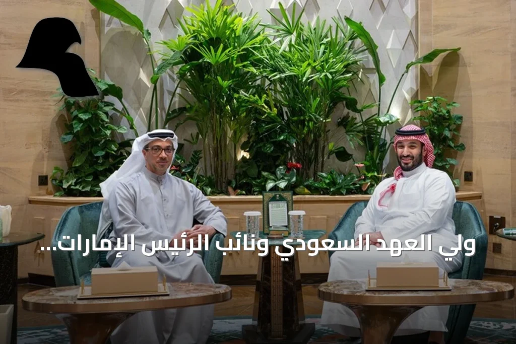 ولي العهد السعودي ونائب الرئيس الإمارات يبحثان مستجدات المنطقة في لقاء بالرياض