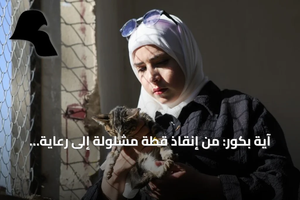 آية بكور: من إنقاذ قطة مشلولة إلى رعاية 350 حيوانًا في مأوى بحمص