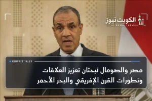 مصر والصومال تبحثان تعزيز العلاقات وتطورات القرن الإفريقي والبحر الأحمر