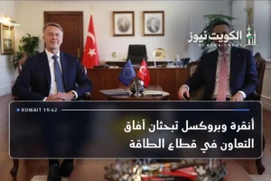 أنقرة وبروكسل تبحثان آفاق التعاون في قطاع الطاقة