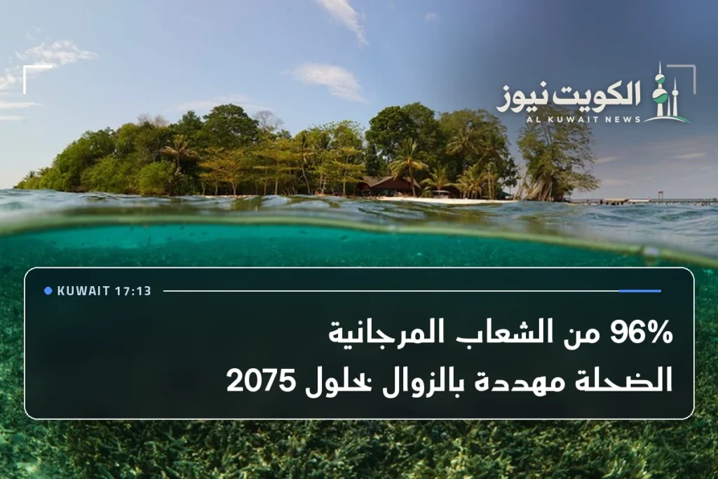 96% من الشعاب المرجانية الضحلة مهددة بالزوال بحلول 2075