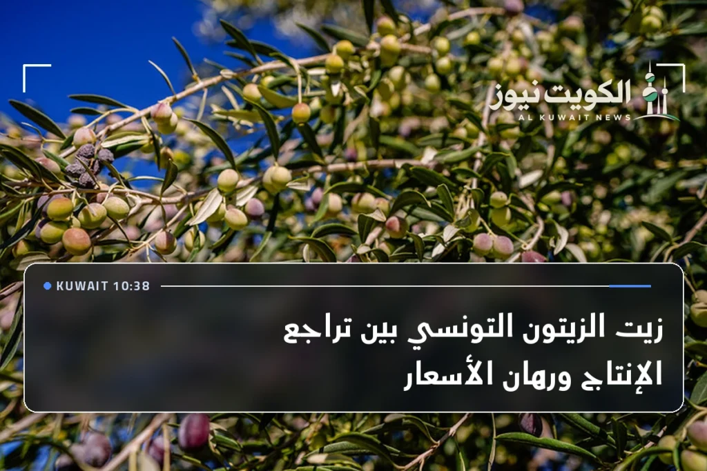زيت الزيتون التونسي بين تراجع الإنتاج ورهان الأسعار