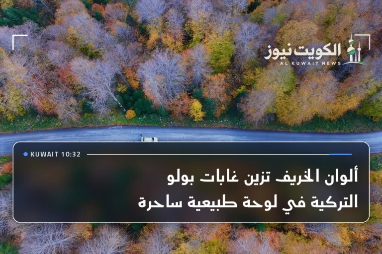 ألوان الخريف تزين غابات بولو التركية في لوحة طبيعية ساحرة