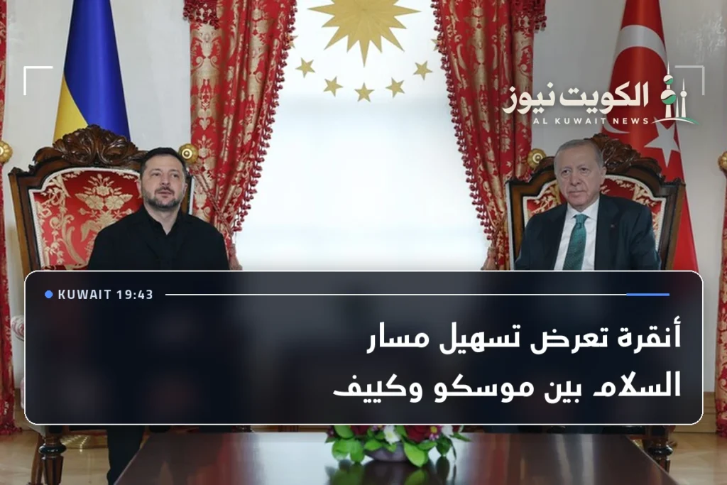 أنقرة تعرض تسهيل مسار السلام بين موسكو وكييف